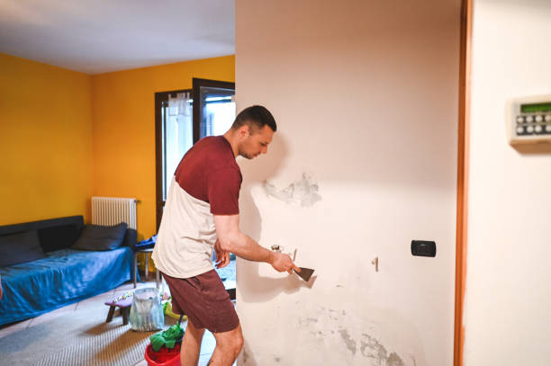 Best Certified Mold Removal  in Victoria, KS