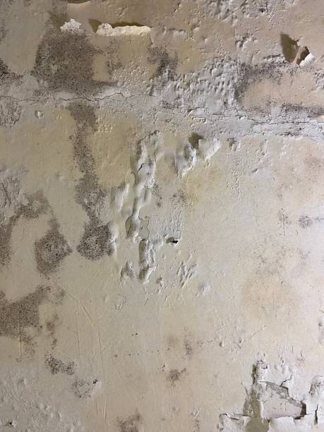 Best Water Damage Restoration  in Victoria, KS
