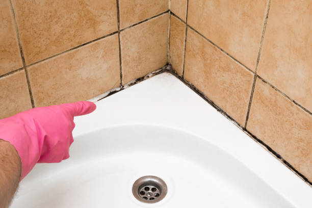 Crawl Space Mold Removal in Victoria, KS
